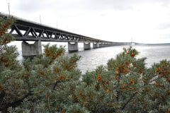 July 31, 2019 | Øresund Bridge, Malmö, Sweden