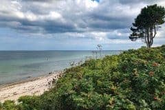 August 4, 2019 | Beach of Neukirchen, Germany