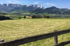 May 25, 2016 | View from Rüte towards Säntis, Switzerland