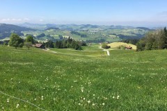 May 25, 2016 | View from Schlatt AI, Switzerland