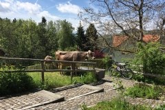 May 26, 2016 | At the restaurant Bären in Rehetobel, Switzerland