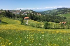 May 26, 2016 | View of Trogen AR, Switzerland