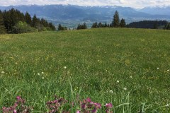 May 26, 2016 | View into the Rheintal, Switzerland