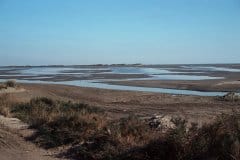 October 1980 | Camargue near Saintes-Maries-de-la-Mer, France