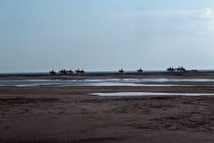 October 1980 | Camargue near Saintes-Maries-de-la-Mer, France