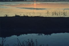 October 1980 | Camargue, France