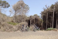 May 14, 2015 | Beach south of Cecina, Italy