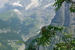 July 13, 2003 | Eiger and Mönch from Mürren, Switzerland