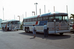 June 1979 | Tour buses, Miami, Florida, USA