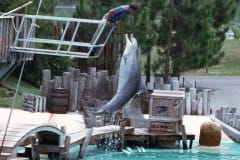 June 1979 | Sea World, Orlando, Florida, USA