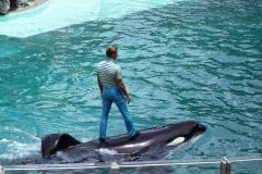 June 1979 | Sea World, Orlando, Florida, USA