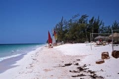 June 1979 | Beach, Grand Bahama, Bahamas