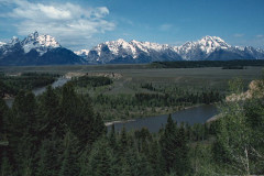 May/June 1981 | Yellowstone National Park, Wyoming, USA