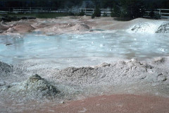 May/June 1981 | Yellowstone National Park, Wyoming, USA