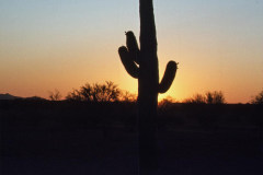 May/June 1981 | Desert outside Wickenburg, Arizona, USA