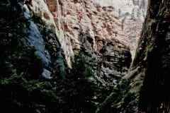 Aug/Sep 1986 | Zion National Park, Utah, USA