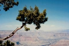 Aug/Sep 1986 | Grand Canyon National Park, Arizona, USA