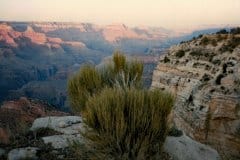 Aug/Sep 1986 | Grand Canyon National Park, Arizona, USA