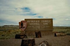 Aug/Sep 1986 | Petrified Forest National Park, Arizona, USA