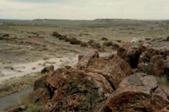 Aug/Sep 1986 | Petrified Forest National Park, Arizona, USA