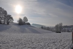 January 11, 2019 | Winter walk in Vordemwald