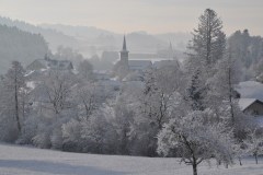 January 11, 2019 | Winter walk in Vordemwald