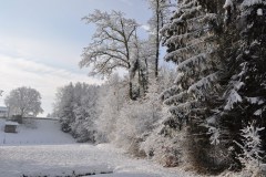 January 11, 2019 | Winter walk in Vordemwald