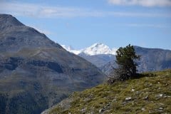 September 3, 2020 | View from Buffalora, in the background Piz Bernina, Nationalpark, Switzerland